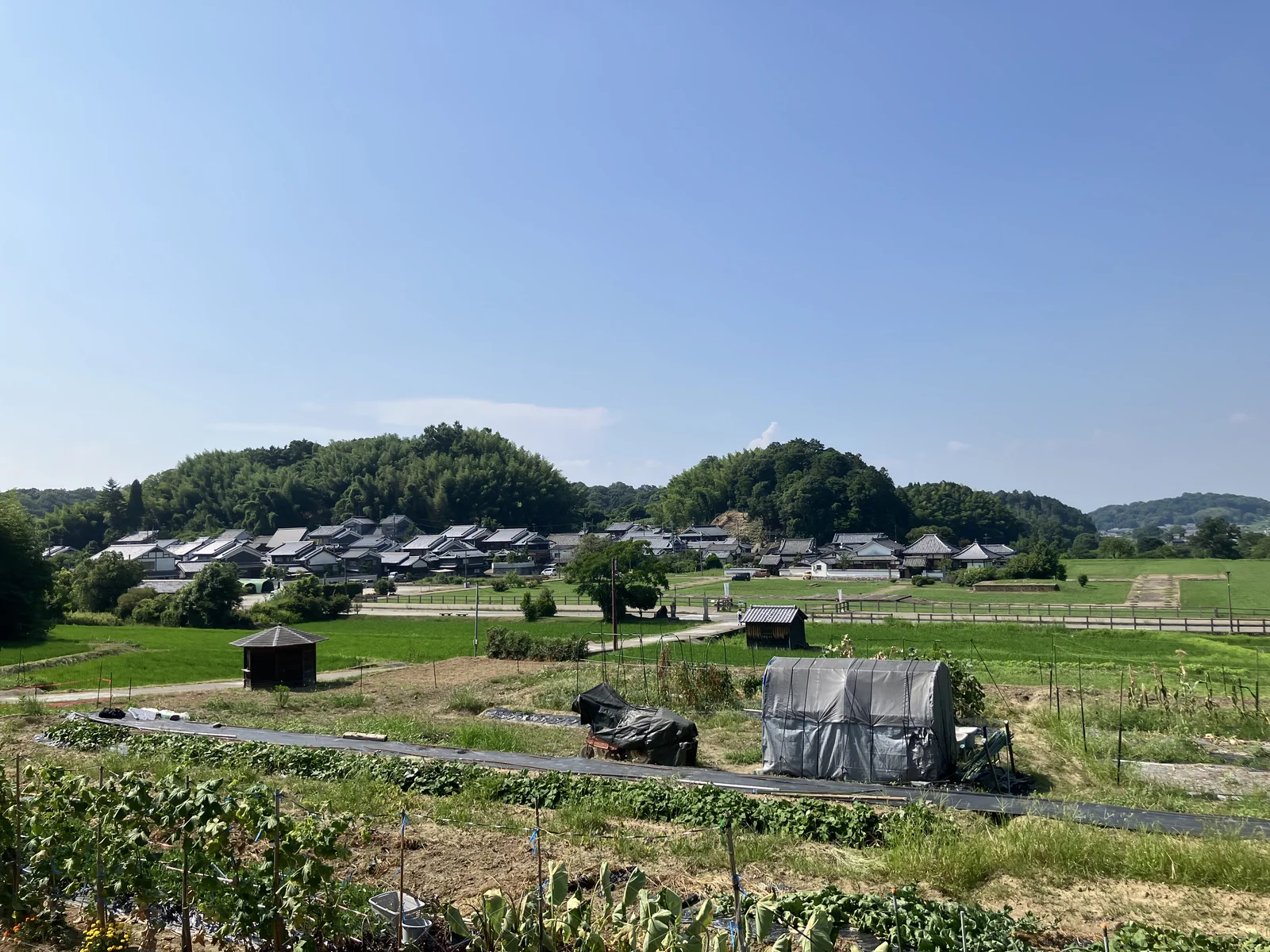 川原寺跡周辺の田園と集落の風景
