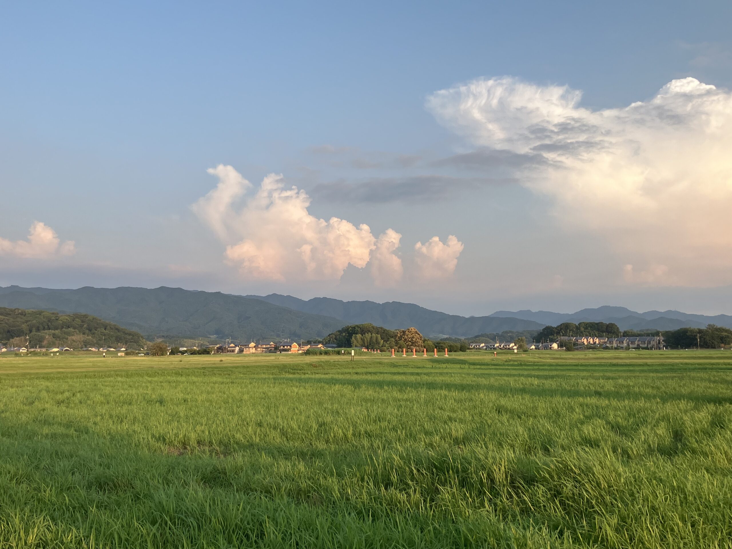 藤原宮跡に広がる原野と大和三山を望む風景