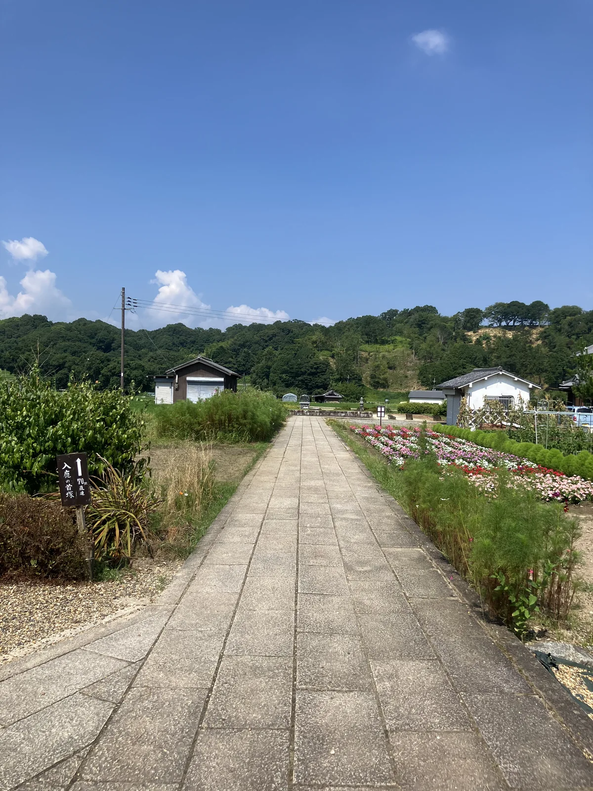 飛鳥寺周辺の田園を歩く道