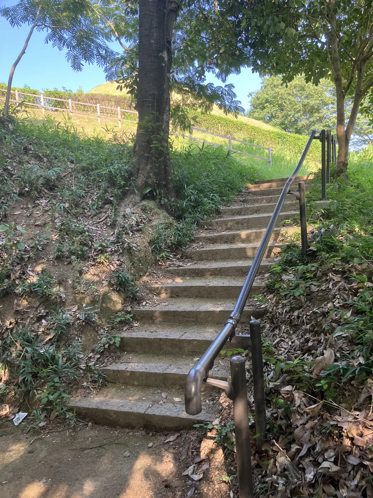高松塚古墳へ向かう階段