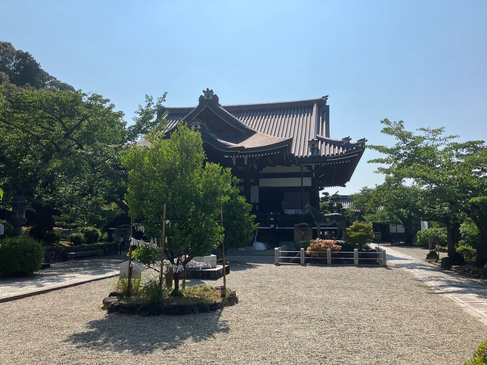 木陰の多い橘寺の境内全体の様子