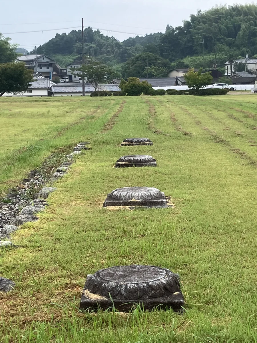 山田寺跡に残る礎石と基壇の跡。建物が立っていた位置を地面に伝えている