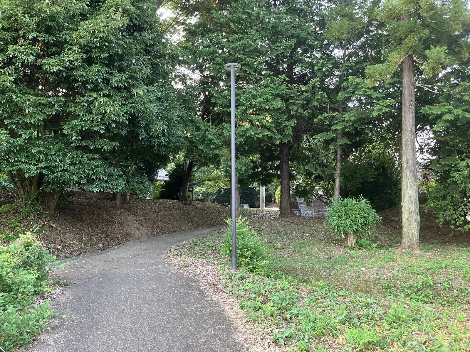 於美阿志神社の境内へ続く木立の参道