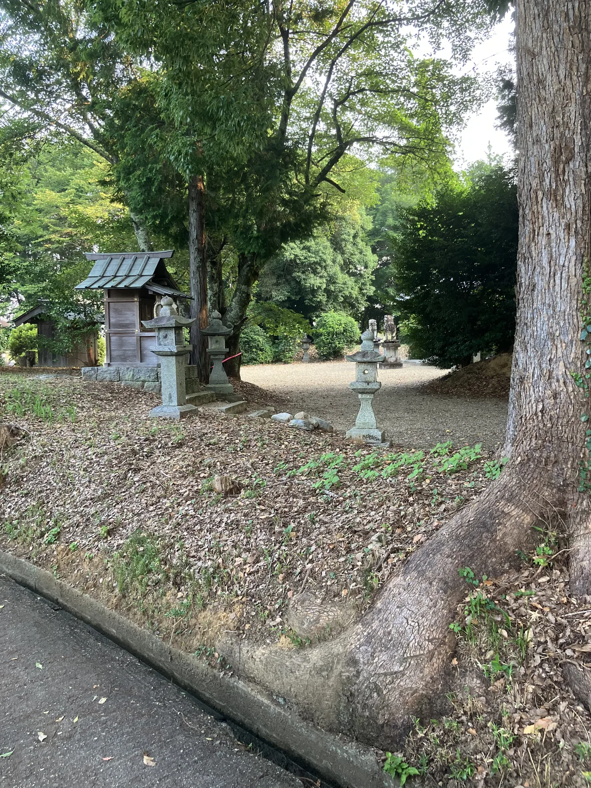 於美阿志神社境内の斜面と木立