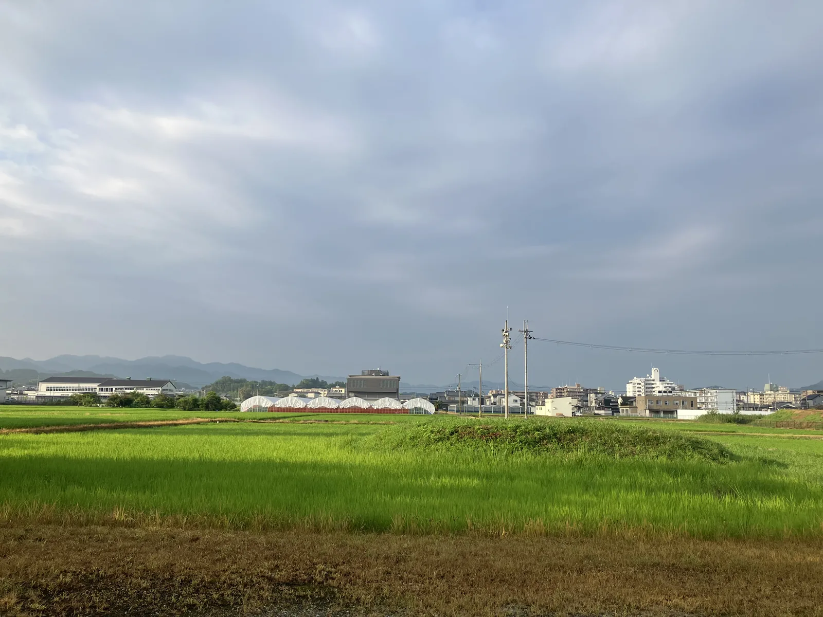 田園の中に広がる本薬師寺跡周辺の景観