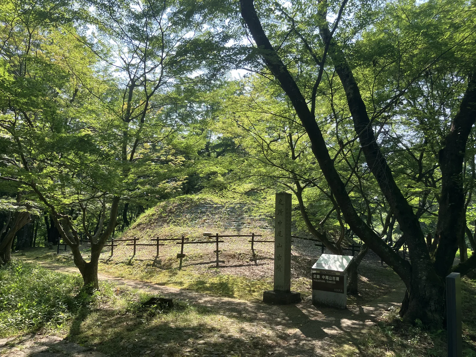 木々に囲まれた中尾山古墳の墳丘と史跡標