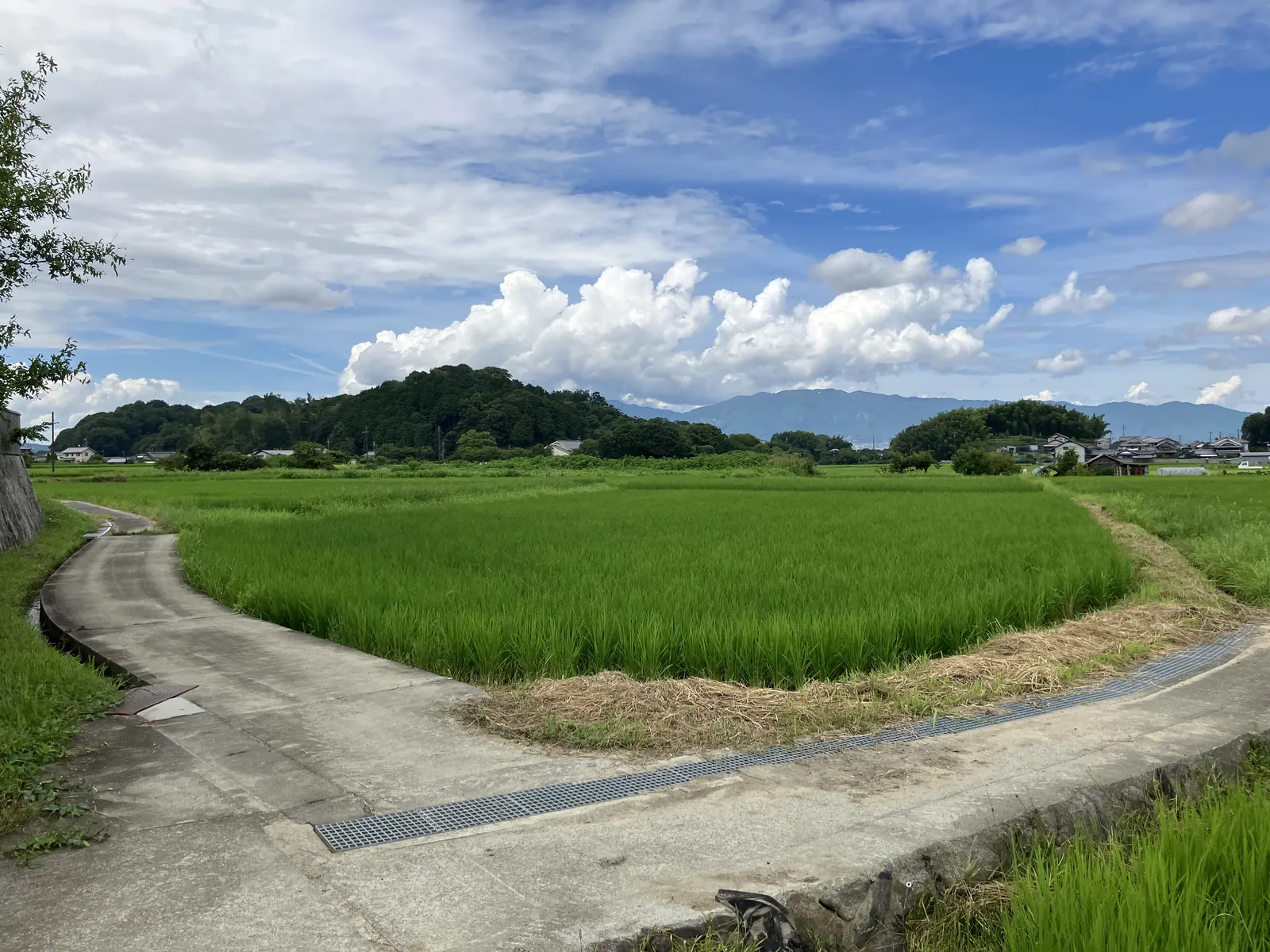 飛鳥地域に広がる田畑と丘陵、山並み