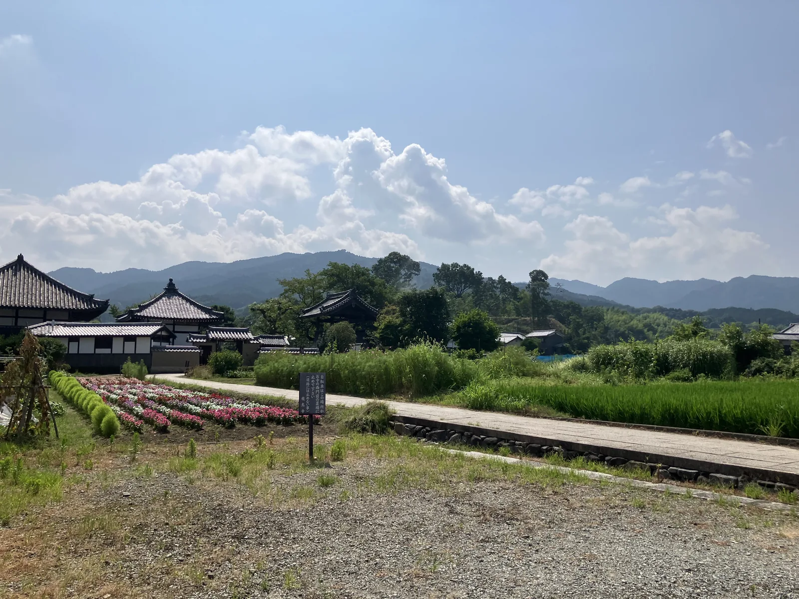 西門側から望む飛鳥寺の堂宇と周辺の水田・山並み