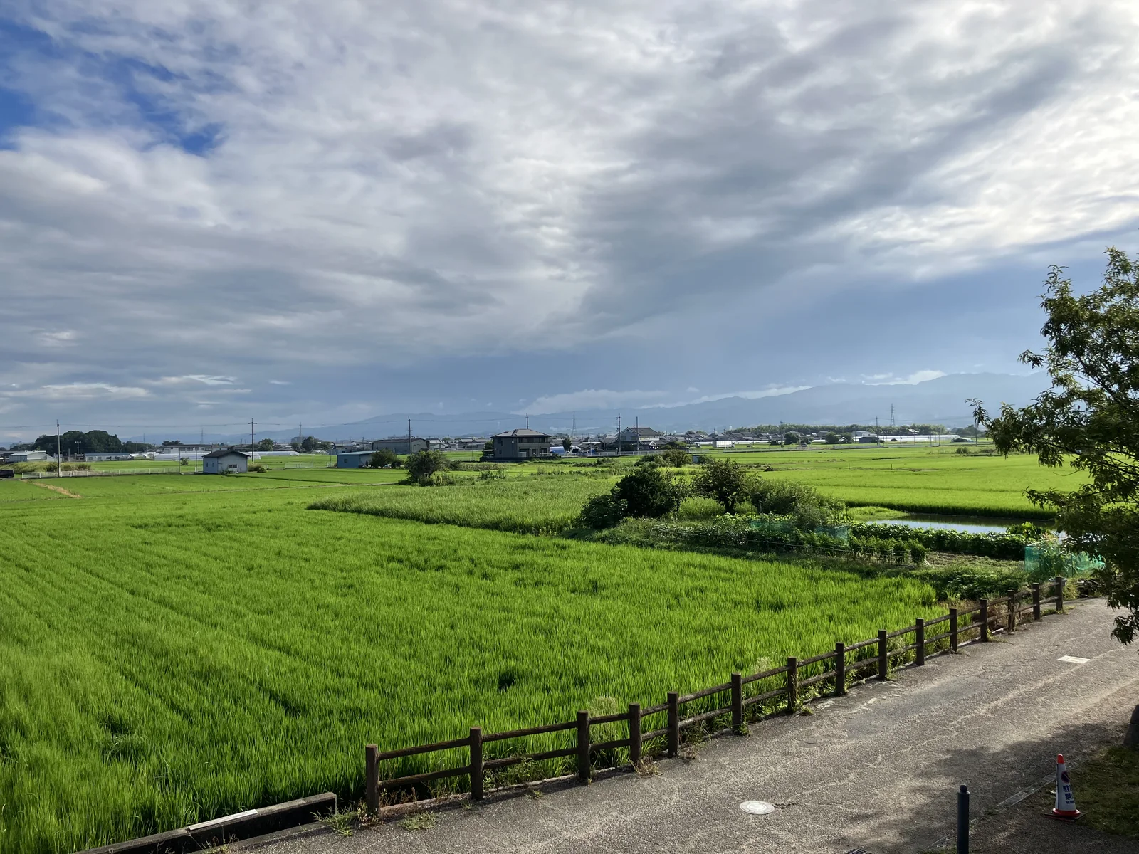 唐古・鍵遺跡周辺の広い耕地を見渡す景観