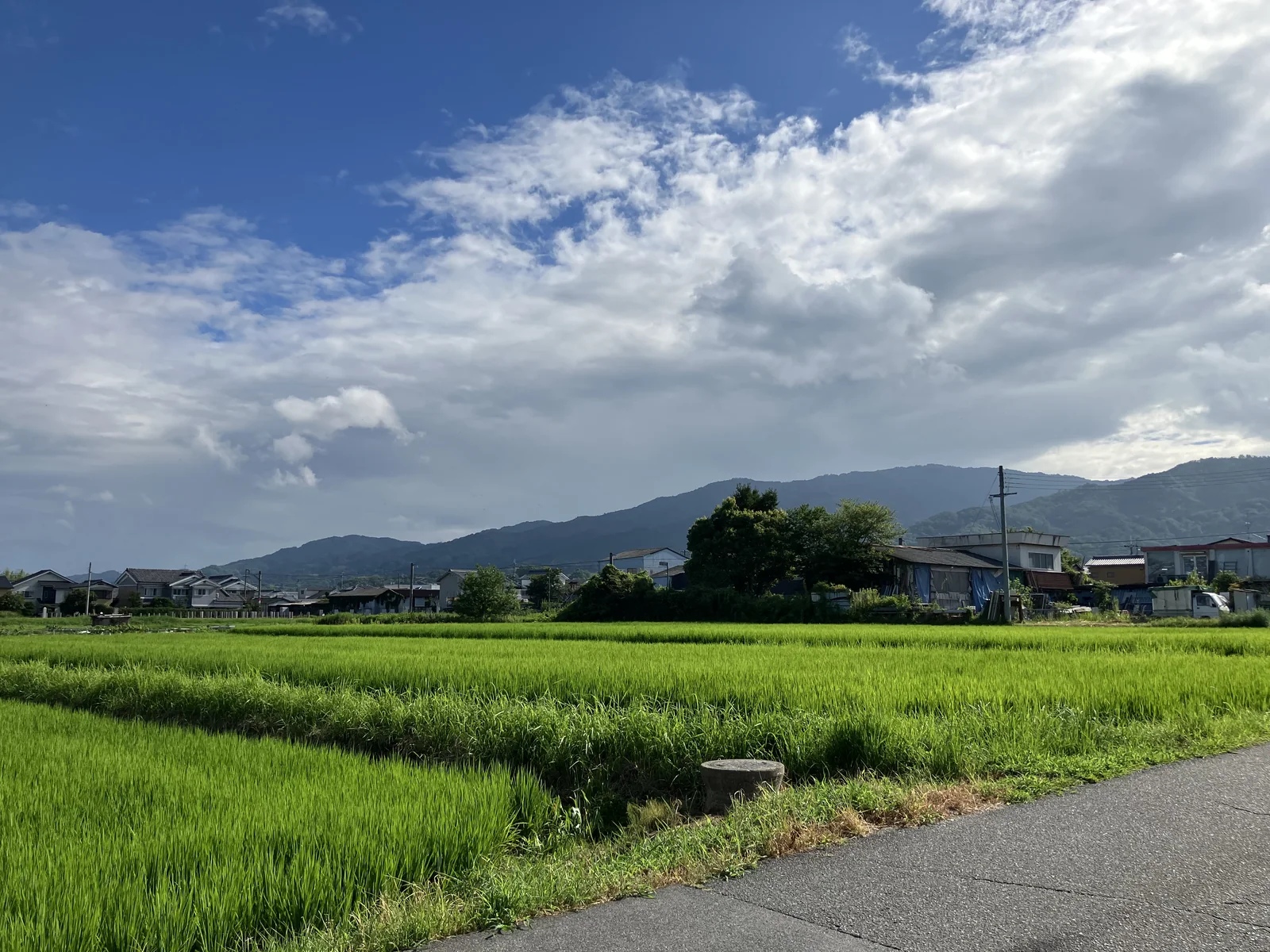 纒向遺跡周辺の田畑の向こうに山並みが見える景観