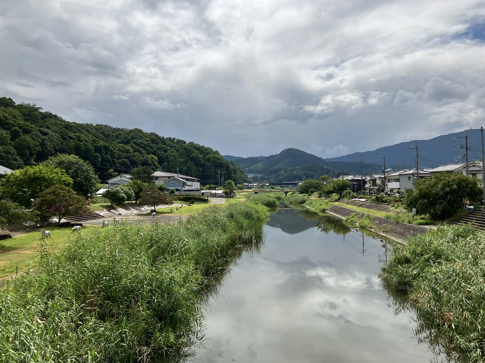 初瀬川沿いに集落と山並みが見える金屋周辺の景観