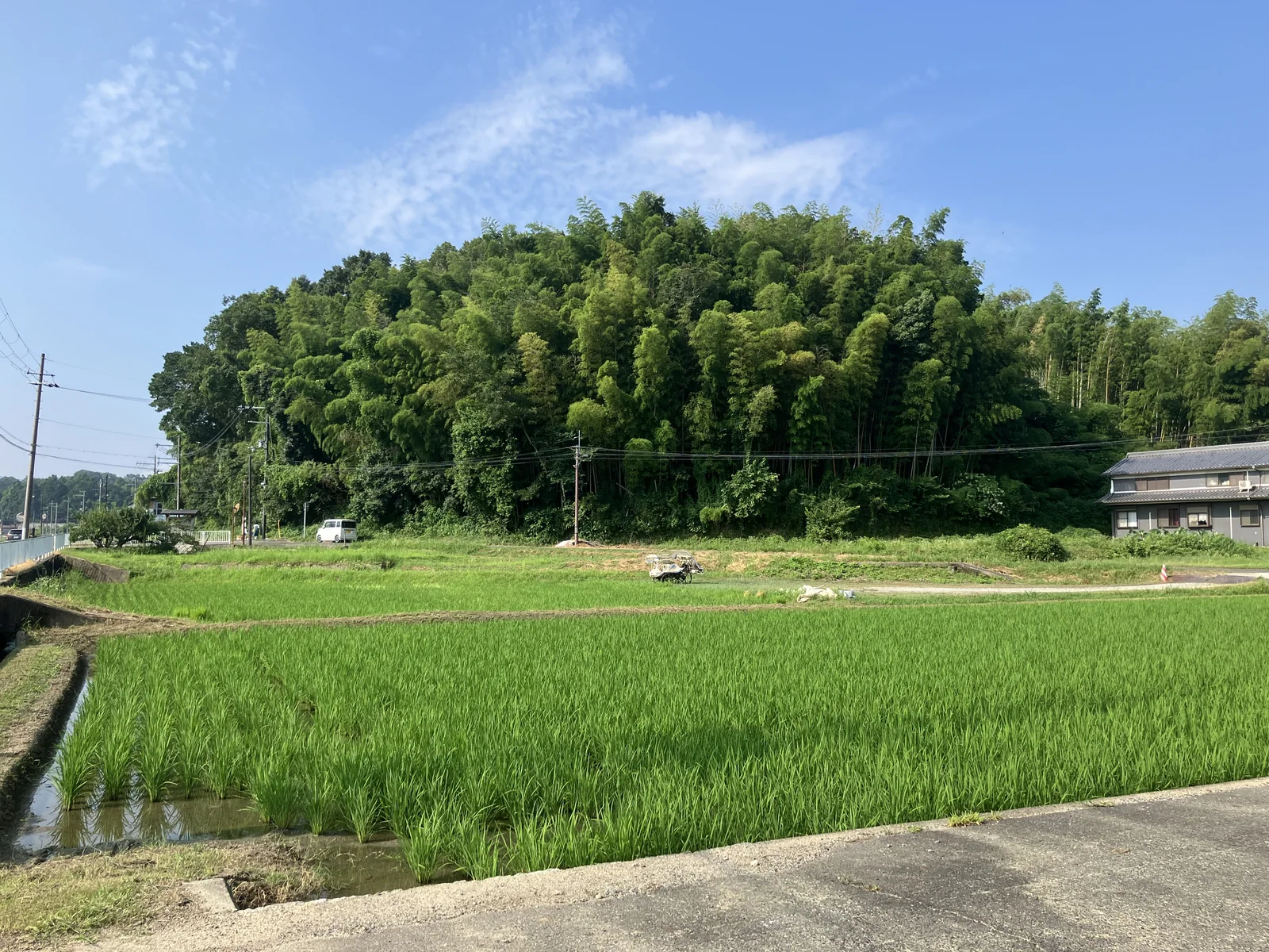 飛鳥地域の田畑と丘陵、集落が見える現在の景観