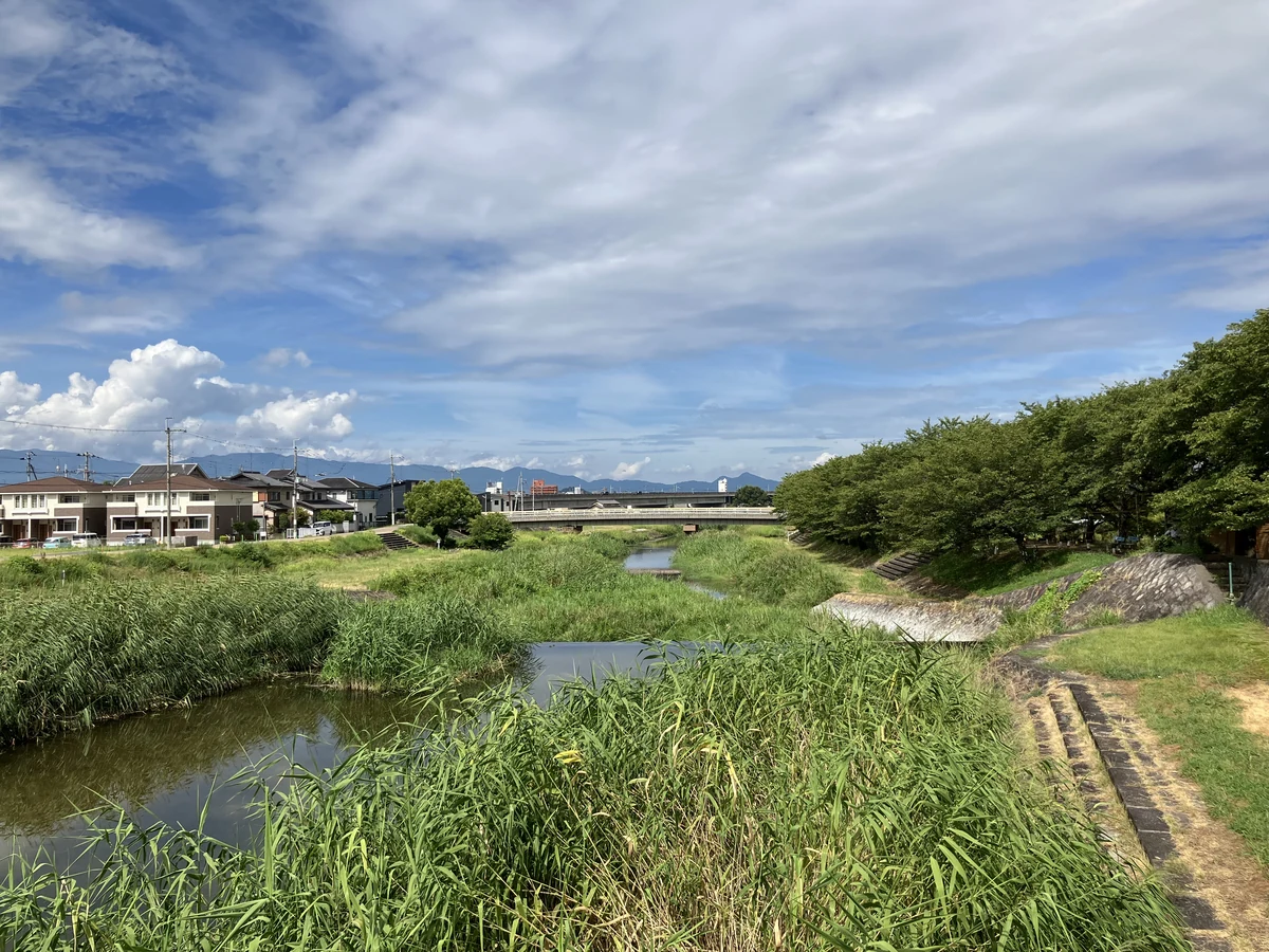 海柘榴市があったとされる金屋周辺の初瀬川と、遠景に見える二上山