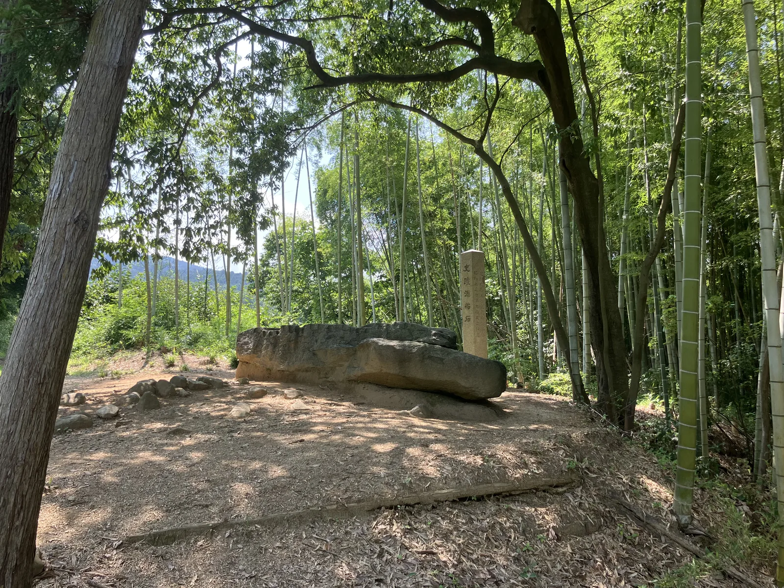 竹林に囲まれた丘の上にある酒船石の全景