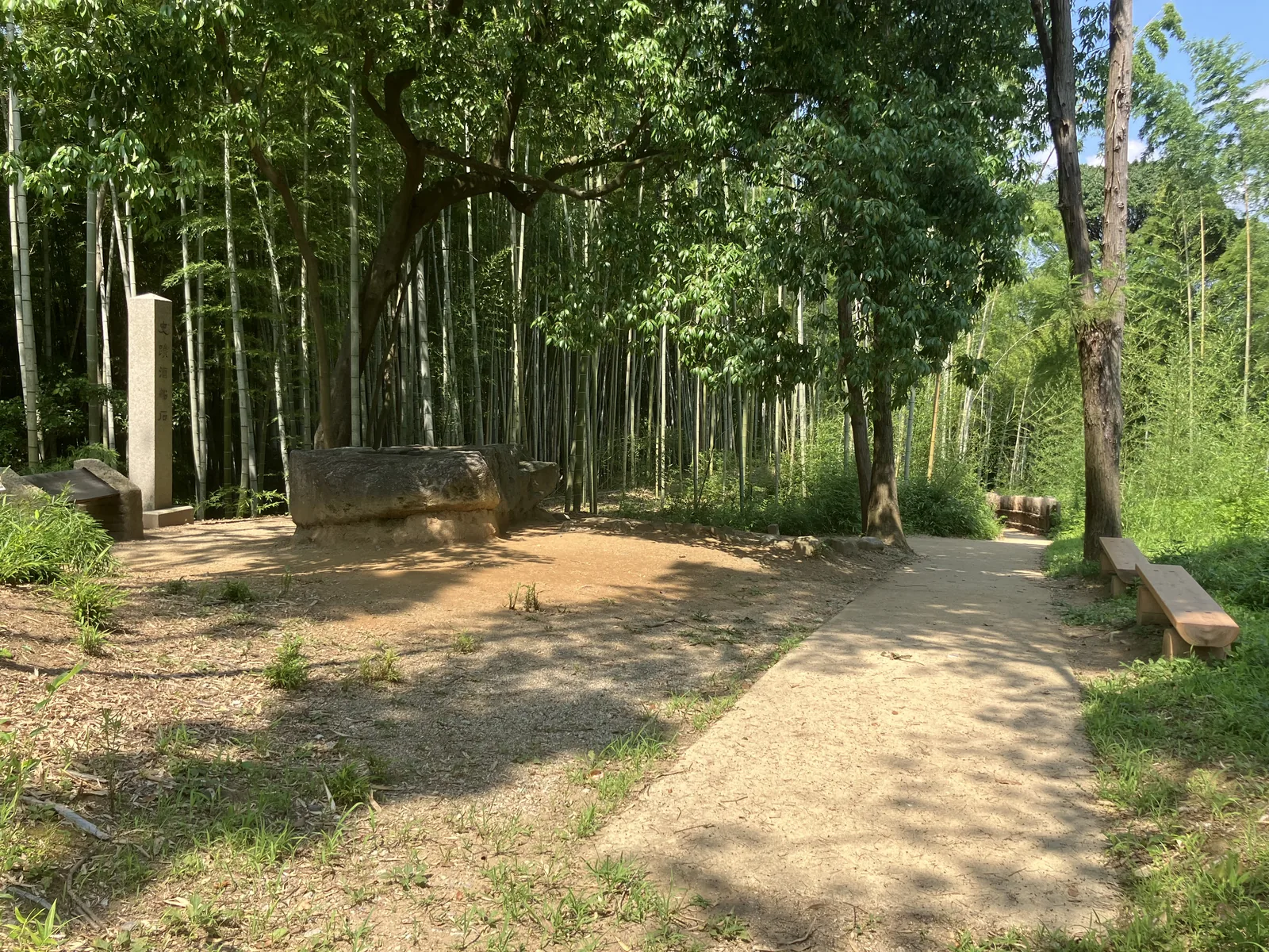 酒船石周辺の竹林と丘陵の地形が分かる写真