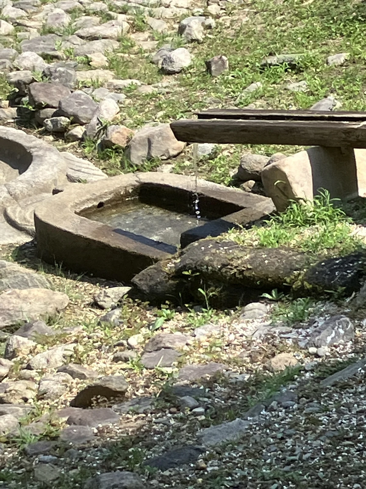 亀形石造物の顔、甲羅、尻尾にあたる部分が分かる写真