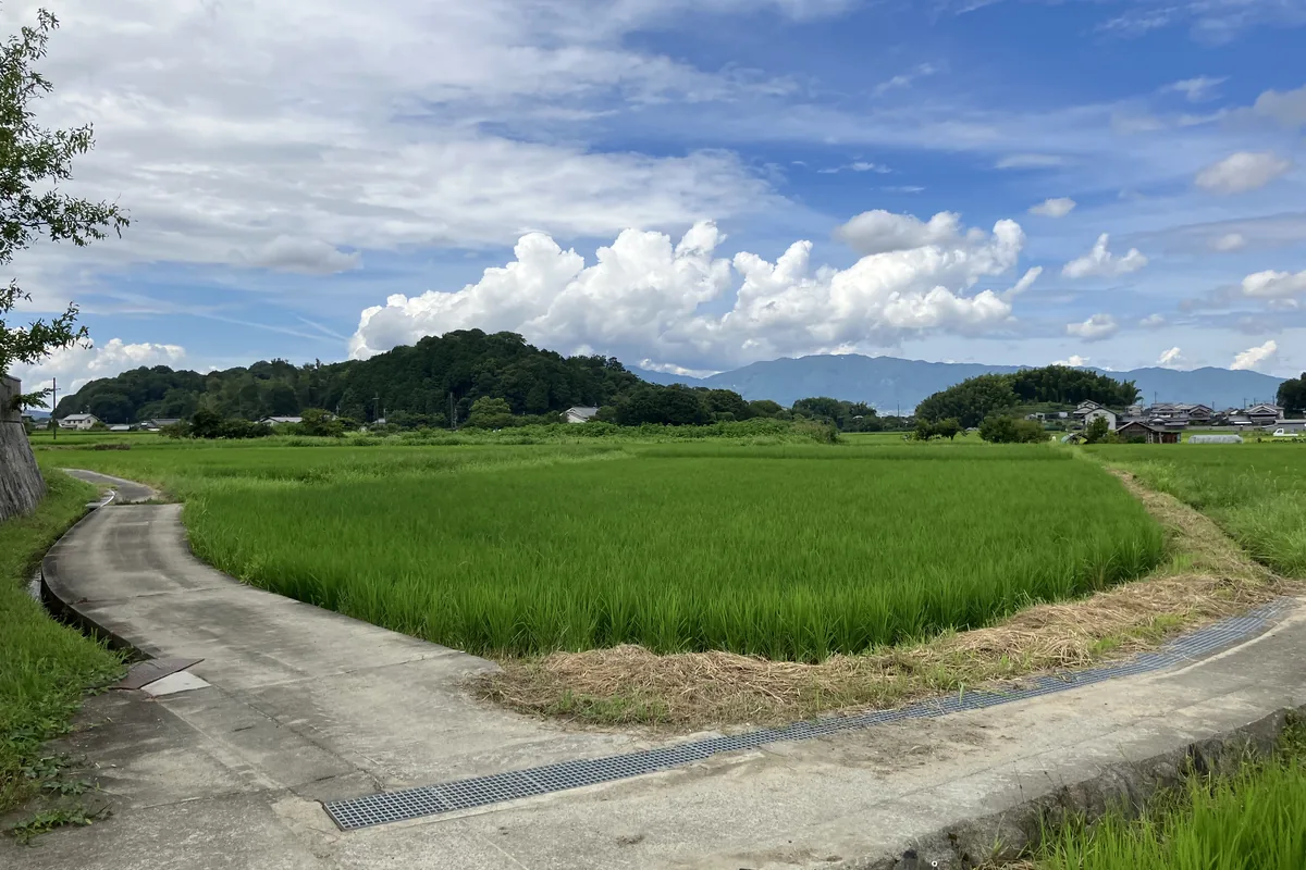 甘樫丘を望む明日香の田園風景